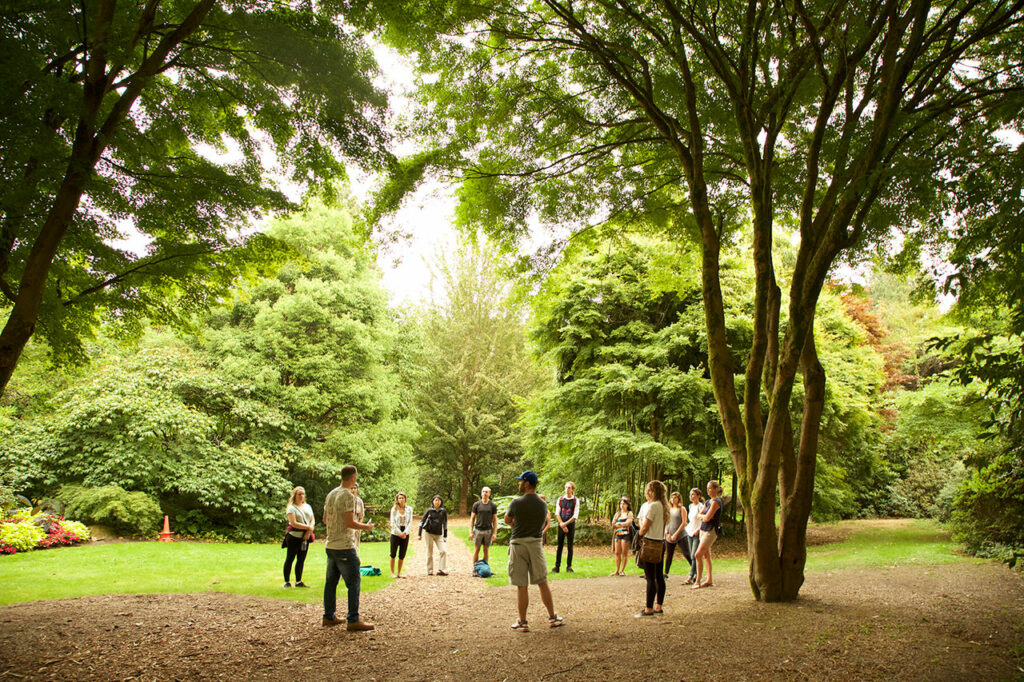 Forest Meditation Circle In Stanley Park