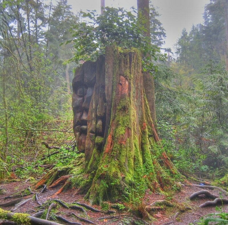 Spiritual Ecology: The God Head And Animism