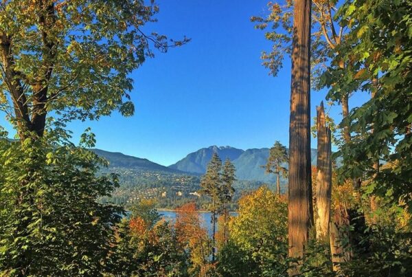 Stanley Park Lookout