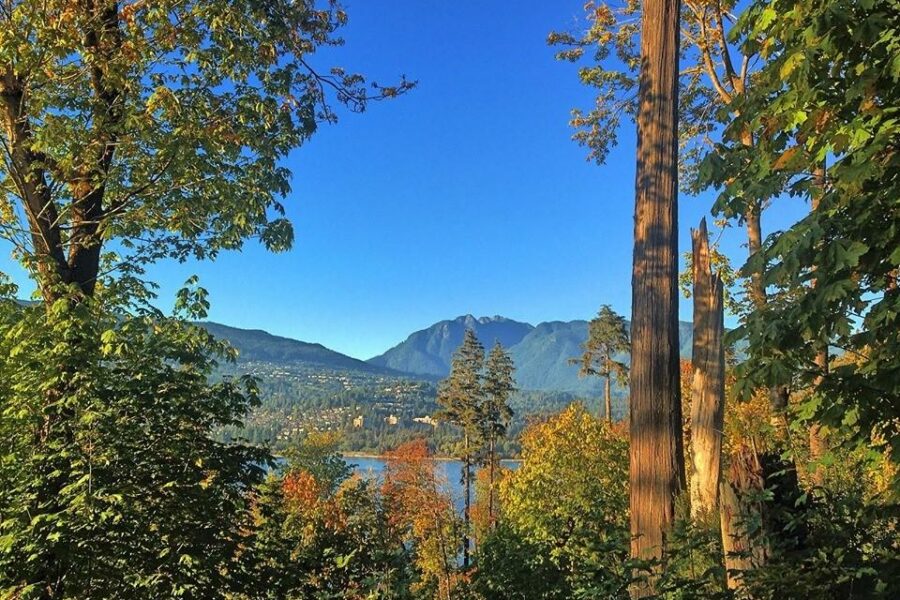 Stanley Park Lookout