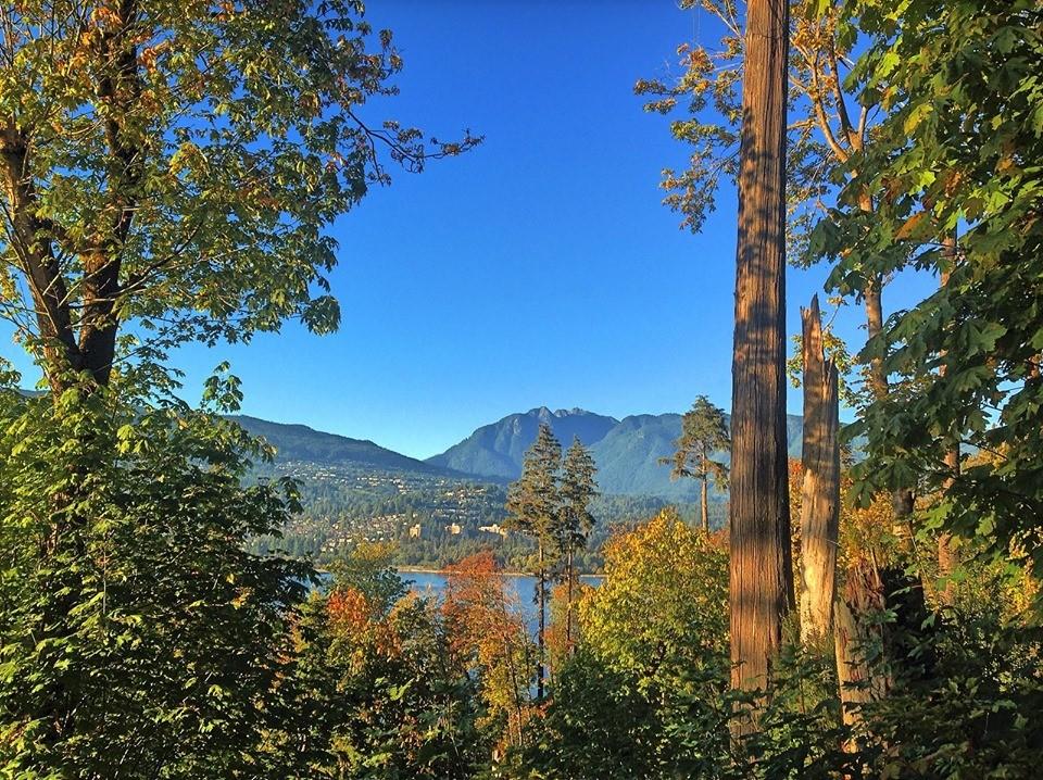 Hiking To The Ancient Old-Growth Big Trees of Stanley Park