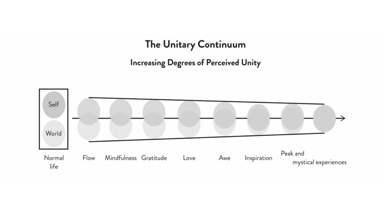 Unitary Continuum