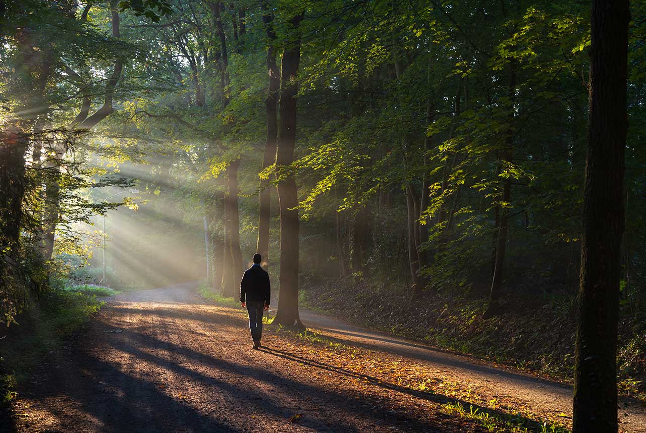 10 Relaxing Mindful Walking And Nature Connection Practices