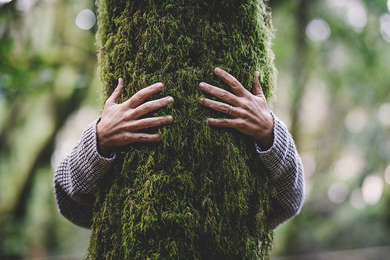 10 Shinrin-Yoku Documentaries About The Art of Forest Bathing