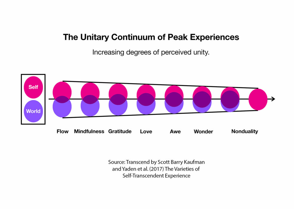 The Nature of Peak Experiences