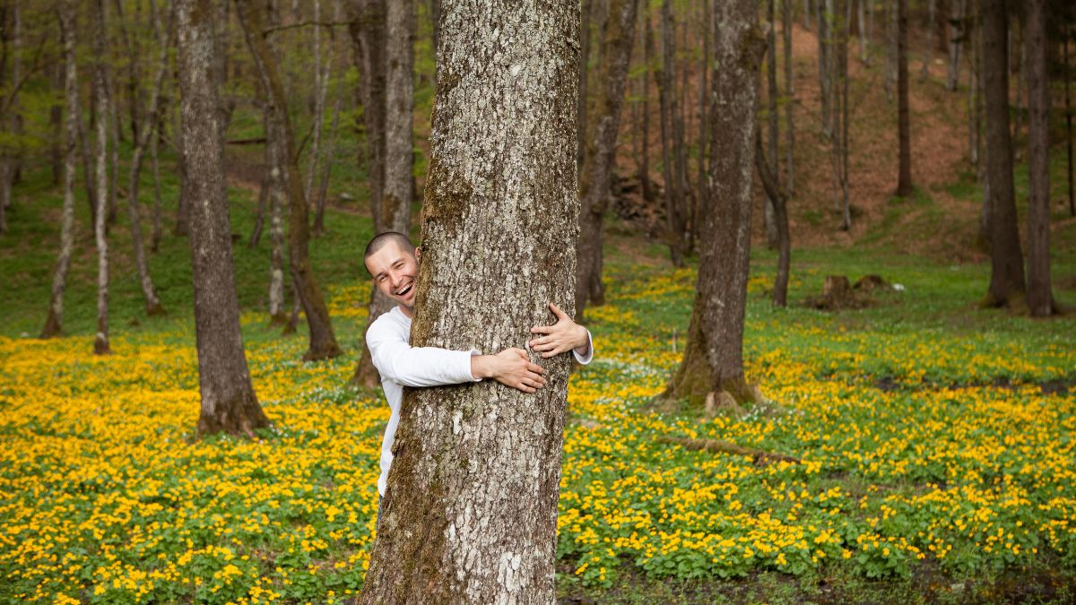 Ecopsychology: Why Nature Therapy Makes You Feel Happy
