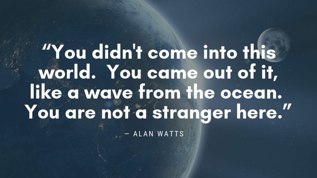 Alan Watts Ocean Wave Web of Life Quote