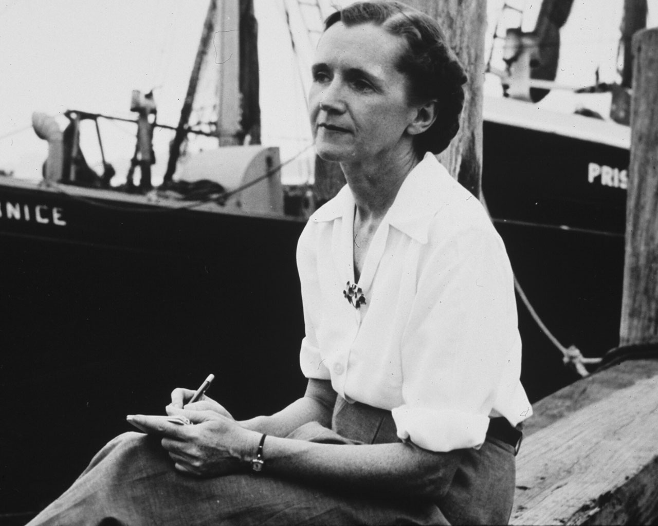 11 Profound Rachel Carson Quotes From Silent Spring And Her Other Books