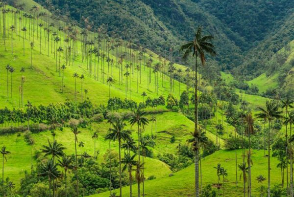 Colombia Wild Nature And Ecotourism