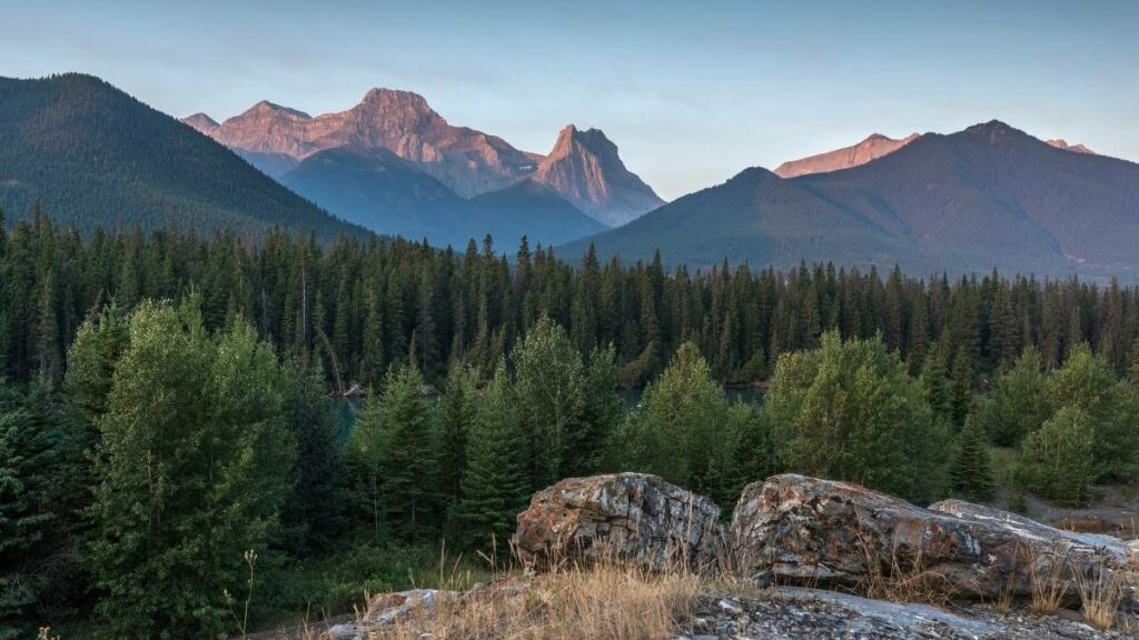 A Lookout Overlooking Dead Man's Flats and The Bow River