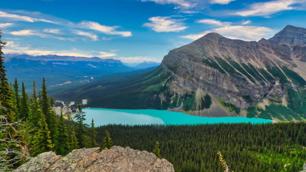 Forest Hiking Trails And Lookout Overlooking Lake Louise