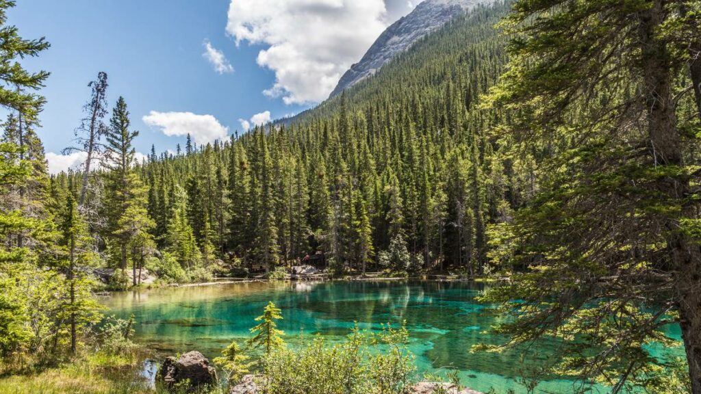 Grassi Lakes Hike In Canmore