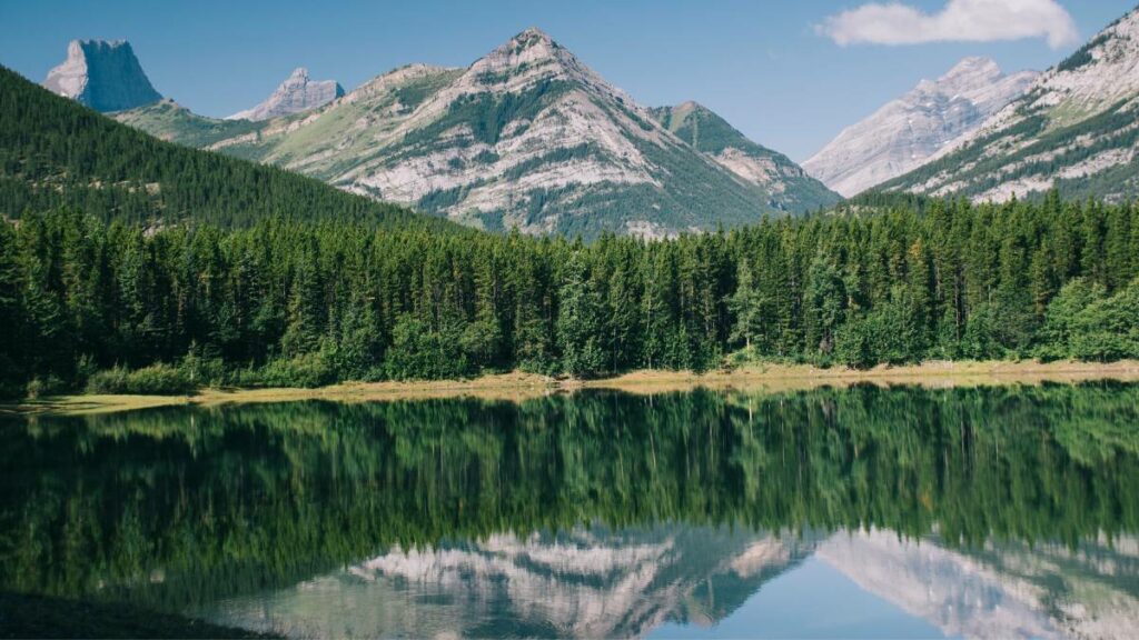 Kananaskis Forest Trails