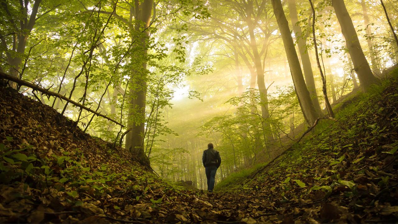 Step Into Awe And Wonder With Mindful Walking Meditation