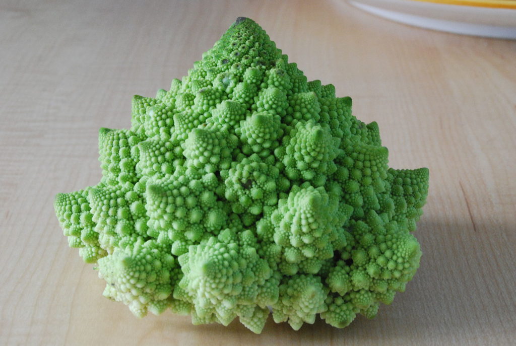 Romanesco Fractal Broccoli