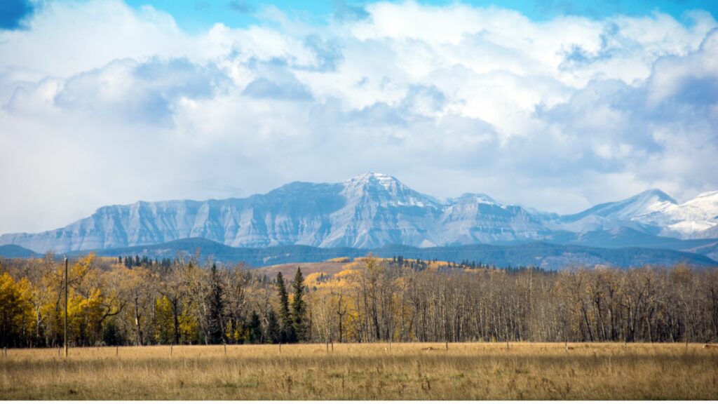 Alberta Rockies Foothills