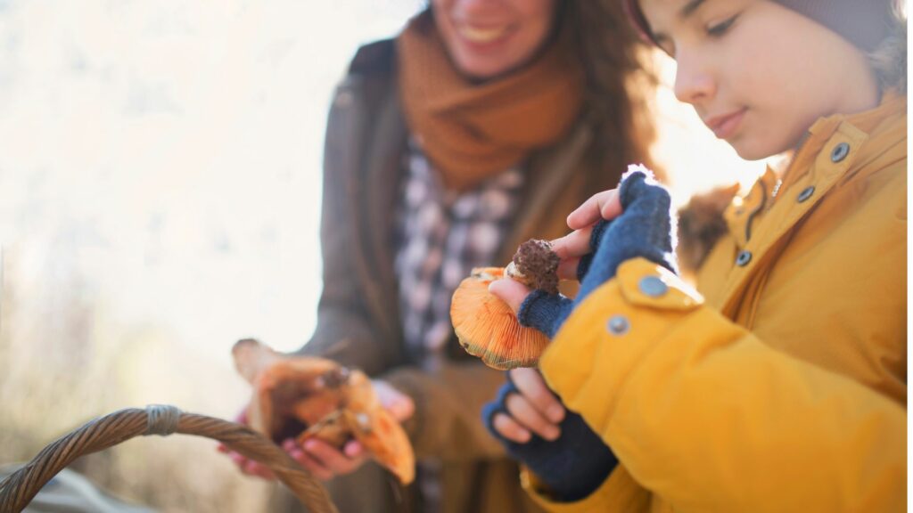 Foraging Community