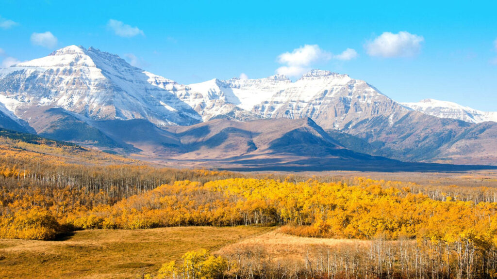 Rocky Mountain Views