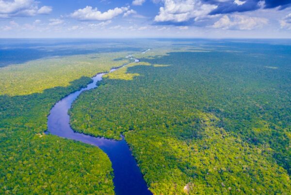 Amazon Rainforest