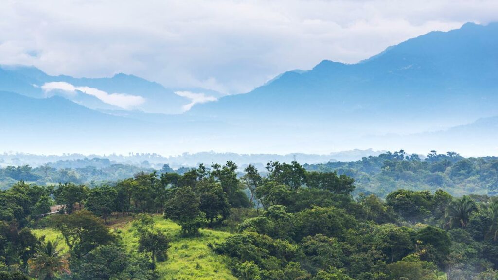 Cloud Forests in Chiapas, Mexico