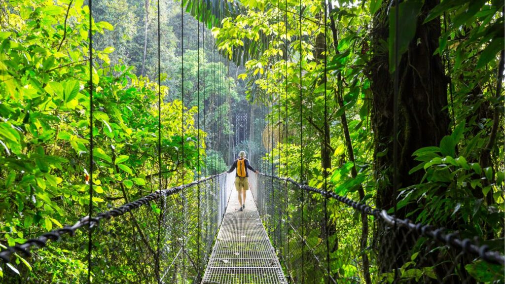 Cloud Forests in Costa Rica