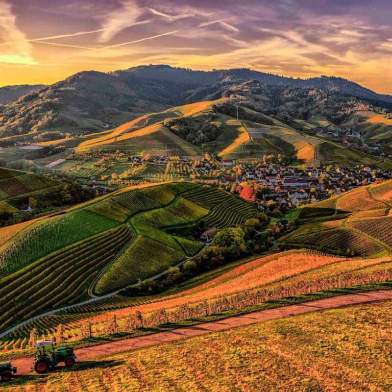 Ecotourism In Rural Areas