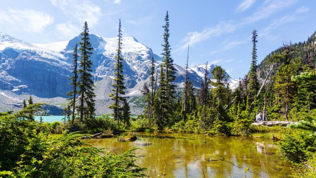 Whistler Hiking Tours