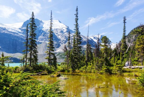 Whistler Hiking Tours