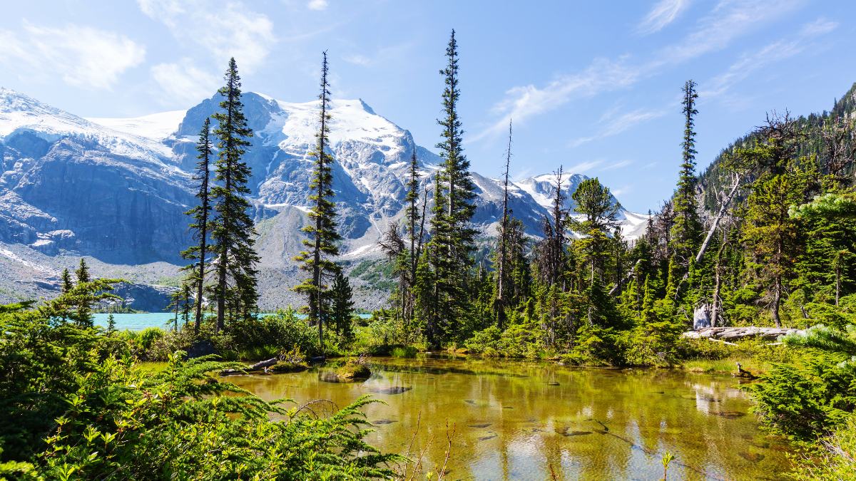 10 Best Whistler Hiking Tours In Sea To Sky Country