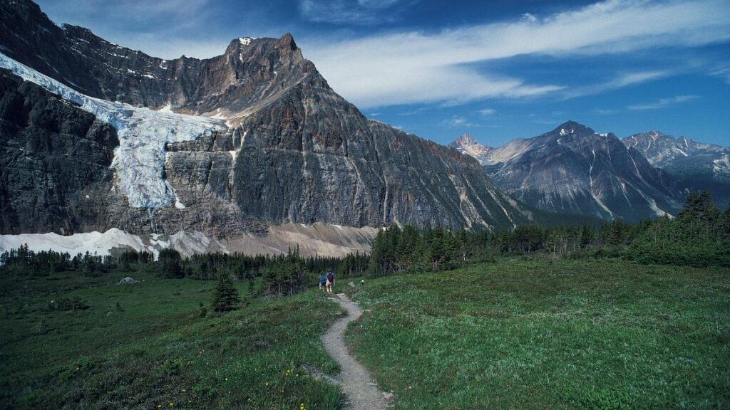 Edith Cavell Meadows