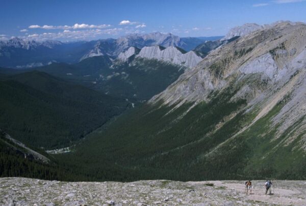 Jasper National Park Hiking Tours