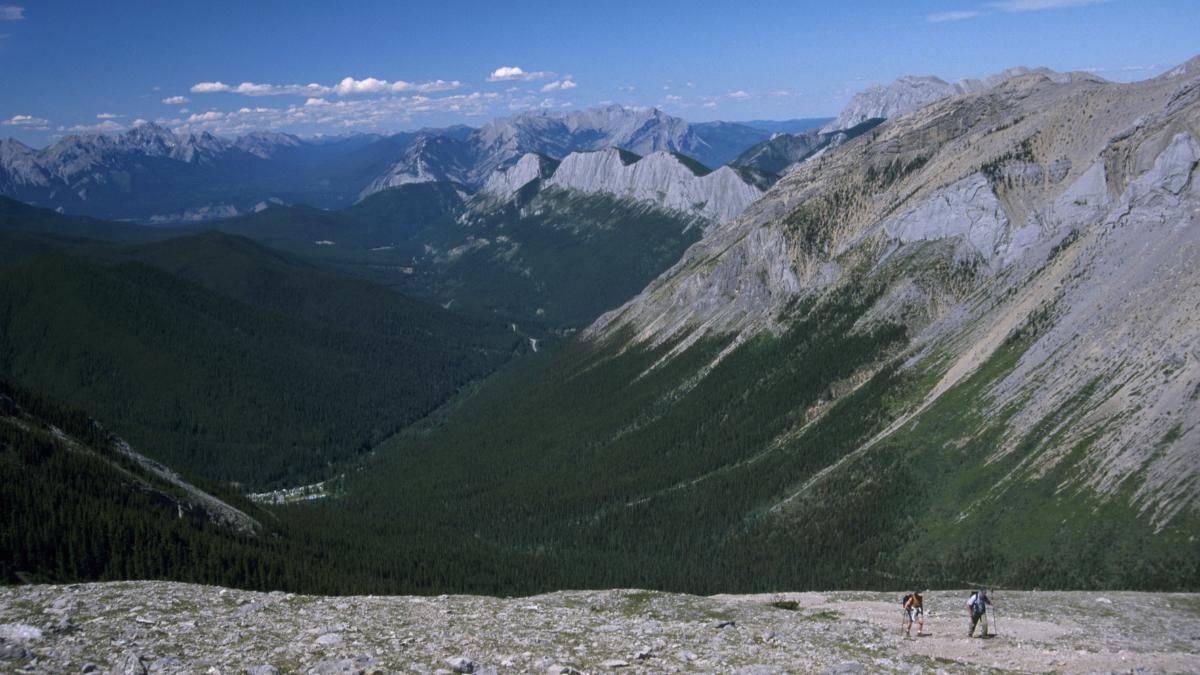 10 Best Jasper Hiking Tours In The Canadian Rockies