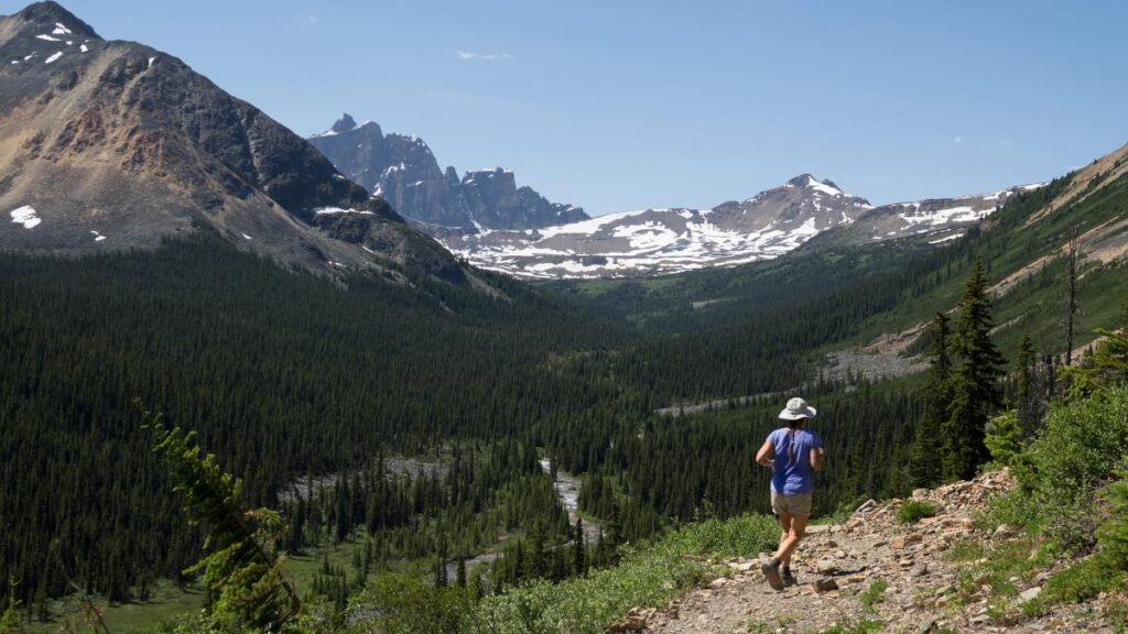 Tonquin Valley