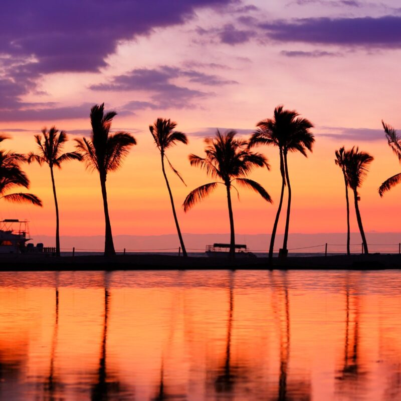 Tropical Paradise