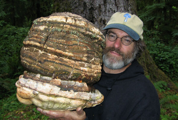 Paul Stamets Save The Agarikon